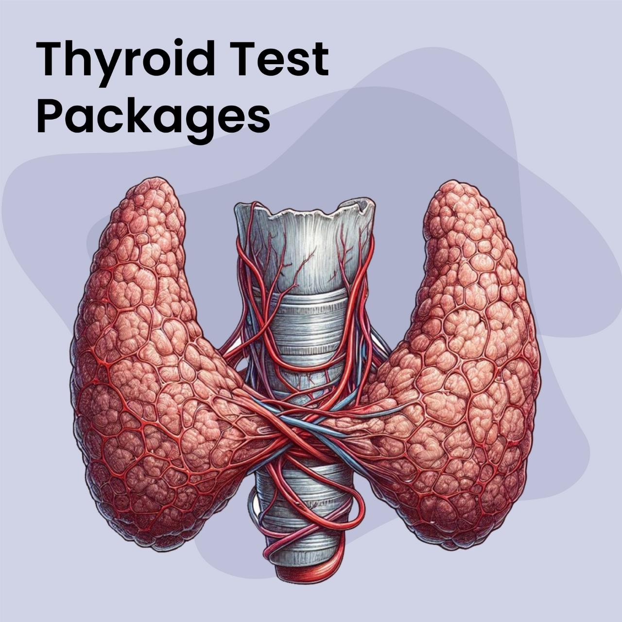 Thyroid